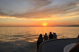 Santa Barbara Sunset Cruise - Starting at $40 - Cali Rick